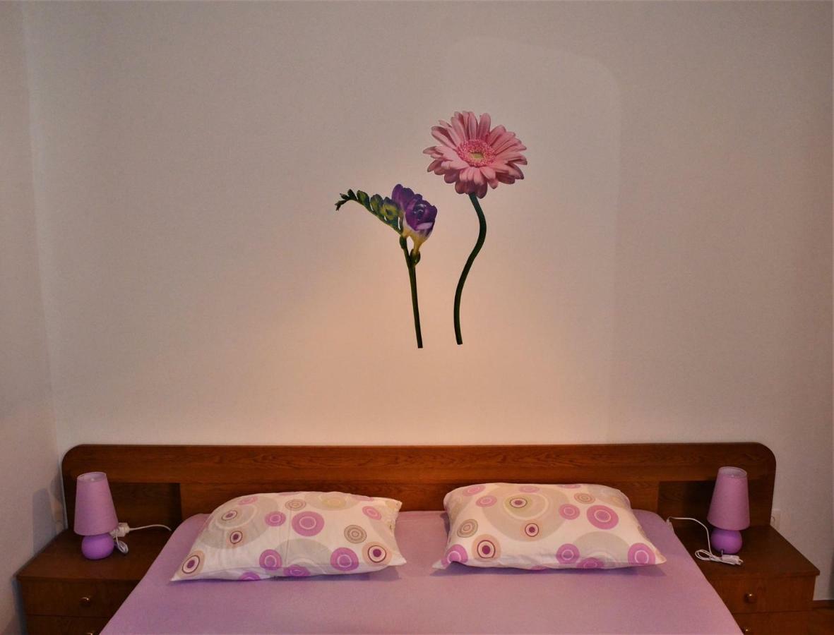Apartman Rosa Pirovac Esterno foto
